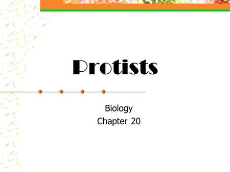 Protists Biology Chapter 20.