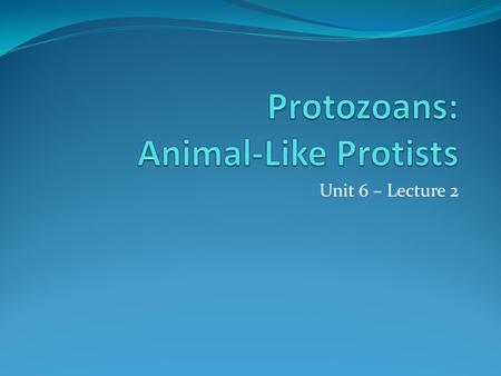Protozoans: Animal-Like Protists