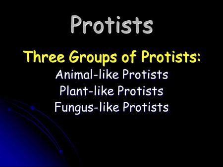 Three Groups of Protists: