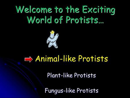 Welcome to the Exciting World of Protists… Animal-like Protists Plant-like Protists Fungus-like Protists.