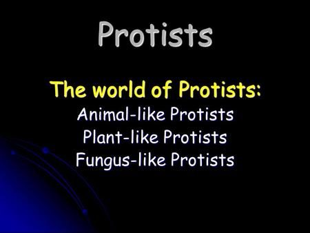 Protists The world of Protists: Animal-like Protists