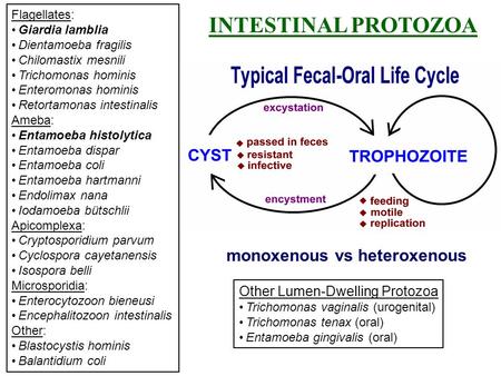 INTESTINAL PROTOZOA monoxenous vs heteroxenous