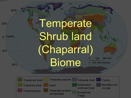 Temperate Shrub land (Chaparral) Biome