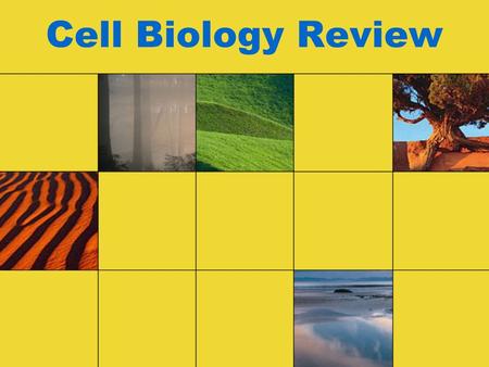 Cell Biology Review.