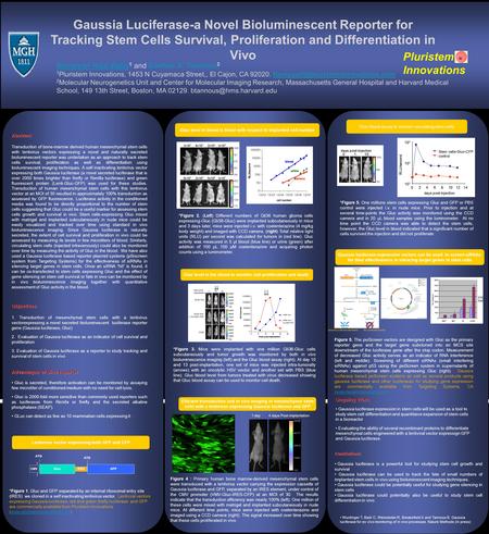 Gaussia Luciferase-a Novel Bioluminescent Reporter for Tracking Stem Cells Survival, Proliferation and Differentiation in Vivo Rampyari Raja Walia Rampyari.