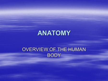 ANATOMY OVERVIEW OF THE HUMAN BODY. WHAT IS ………..?  ANATOMY is the study of the form and structure of the human body.  PHYSIOLOGY is the study of the.