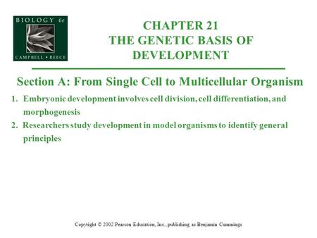 CHAPTER 21 THE GENETIC BASIS OF DEVELOPMENT Copyright © 2002 Pearson Education, Inc., publishing as Benjamin Cummings Section A: From Single Cell to Multicellular.