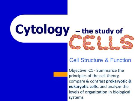 Cytology Cell Structure & Function – the study of Objective: C1 - Summarize the principles of the cell theory, compare & contrast prokaryotic & eukaryotic.