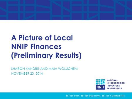 A Picture of Local NNIP Finances (Preliminary Results) SHARON KANDRIS AND MAIA WOLUCHEM NOVEMBER 20, 2014.