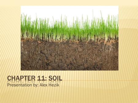 Presentation by: Alex Hezik.  Parent material (rock or sediments deposited by wind, water, or ice) is weathered to form soil  Soil separates are classified.