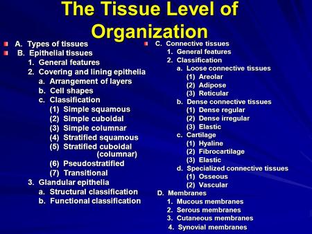 The Tissue Level of Organization A. Types of tissues B. Epithelial tissues B. Epithelial tissues 1. General features 1. General features 2. Covering and.