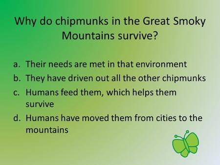 Why do chipmunks in the Great Smoky Mountains survive?