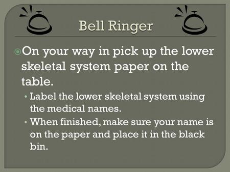  On your way in pick up the lower skeletal system paper on the table. Label the lower skeletal system using the medical names. When finished, make sure.