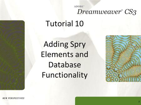 Tutorial 10 Adding Spry Elements and Database Functionality Dreamweaver CS3 Tutorial 101.