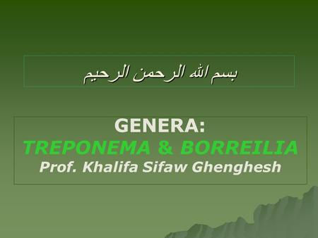 بسم الله الرحمن الرحيم GENERA: TREPONEMA & BORREILIA Prof. Khalifa Sifaw Ghenghesh.
