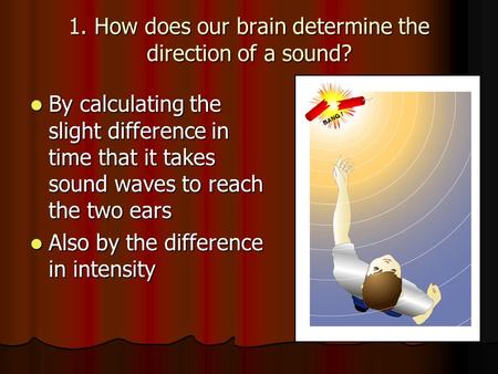 1. How does our brain determine the direction of a sound? By calculating the slight difference in time that it takes sound waves to reach the two ears.