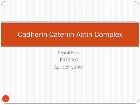 Piyush Bajaj BIOE 506 April 29 th, 2008 1 Cadherin-Catenin-Actin Complex.