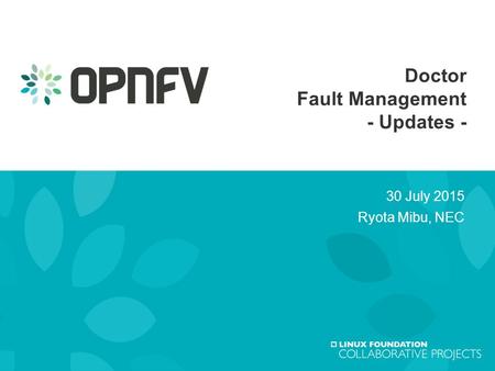 1 Doctor Fault Management - Updates - 30 July 2015 Ryota Mibu, NEC.