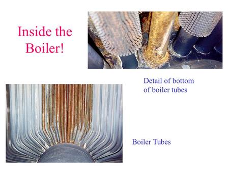 Inside the Boiler! Boiler Tubes Detail of bottom of boiler tubes.