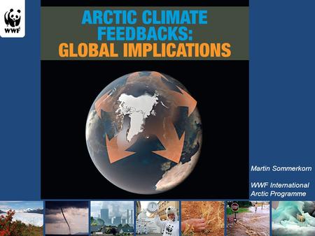 Martin Sommerkorn WWF International Arctic Programme.