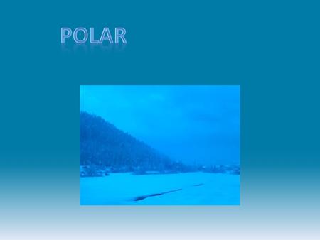 The polar is very icy and snowy. It is flat and snow covers the ground. It is very cold.