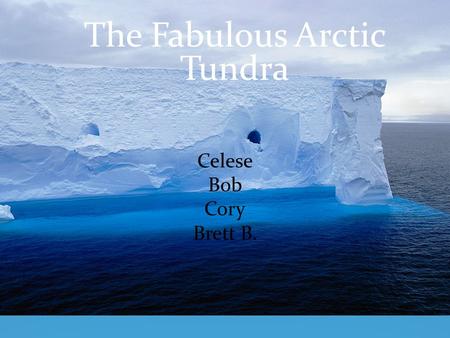 The Fabulous Arctic Tundra. Celese Bob Cory Brett B.