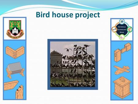 Bird house project. Brief: Ireland has a very rich variety of bird species visit here throughout the year. Many tourists come from other countries to.