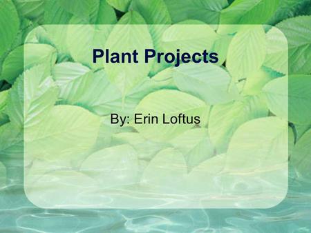 Plant Projects By: Erin Loftus Background Information Focuses on plants and the environment. Teaches a sense of responsibility. Become educated about.