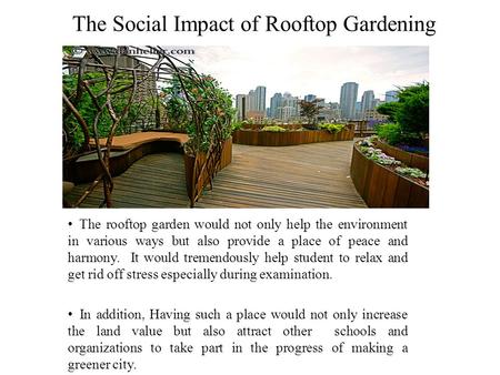 The Social Impact of Rooftop Gardening The rooftop garden would not only help the environment in various ways but also provide a place of peace and harmony.