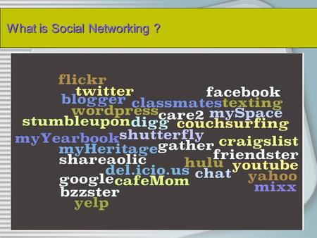 What is Social Networking ? What is Social Networking ?