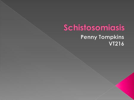Schistosomiasis Penny Tompkins VT216.