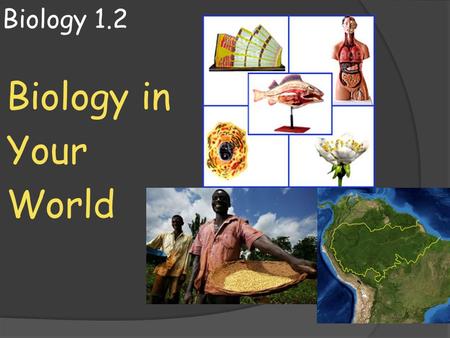 Biology 1.2 Biology in Your World. Solving Real World Problems  You can not turn on the news today without seeing a story somewhere that does not relate.