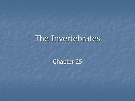 The Invertebrates Chapter 25. Characteristics of Animals Multicellular Multicellular Heterotrophic Heterotrophic mostly motile mostly motile Sexual and.