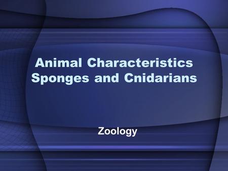 Animal Characteristics Sponges and Cnidarians