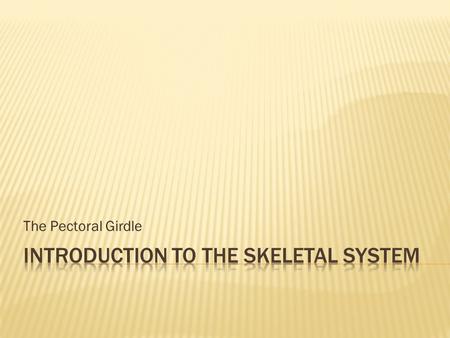 The Pectoral Girdle.  Histology of Bone Tissue  Bone Function and Structure  Bone Growth & Development  Joints  The Axial Skeleton  The Pectoral.