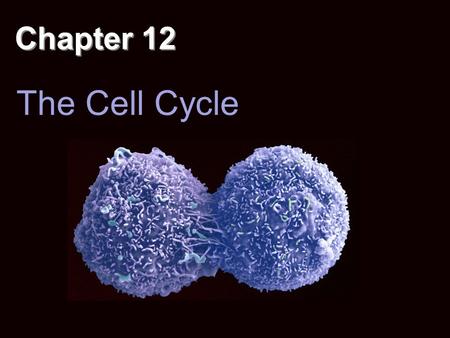 Chapter 12 The Cell Cycle. Overview: The Key Roles of Cell Division The ability of organisms to reproduce best distinguishes living things from nonliving.