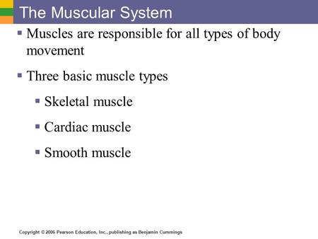 Copyright © 2006 Pearson Education, Inc., publishing as Benjamin Cummings The Muscular System  Muscles are responsible for all types of body movement.
