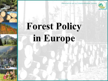 Hauptverband der Land- und Forstwirtschaftsbetriebe Österreichs ELO 07.10.2004 Forest Policy in Europe.