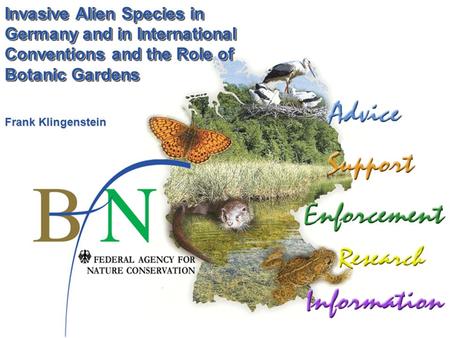 Invasive Alien Species in Germany and in International Conventions and the Role of Botanic Gardens Frank Klingenstein.