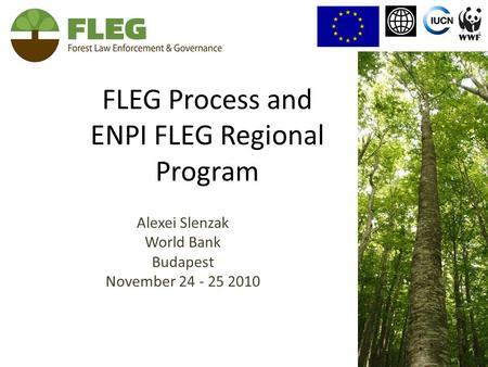 FLEG Process and ENPI FLEG Regional Program Alexei Slenzak World Bank Budapest November 24 - 25 2010.