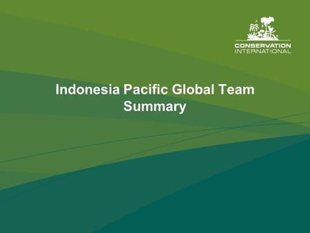 Indonesia Pacific Global Team Summary. Conservation strategy  Map conservation opportunities  Focus and consolidate in selected “scapes”  Four investment.