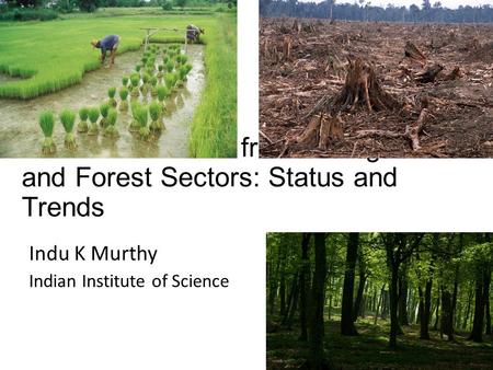 Global Emissions from the Agriculture and Forest Sectors: Status and Trends Indu K Murthy Indian Institute of Science.