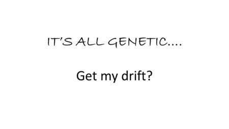 IT’S ALL GENETIC…. Get my drift? Founder effect When a new population is started by only a few individuals some rare alleles may be at high frequency;