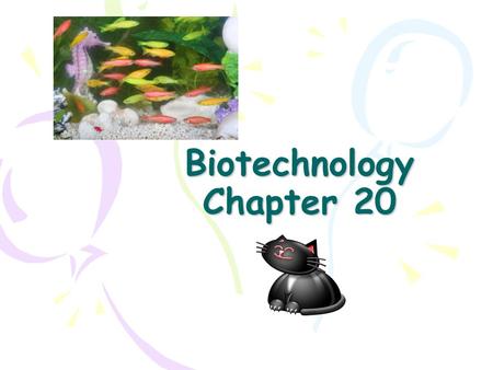Biotechnology Chapter 20