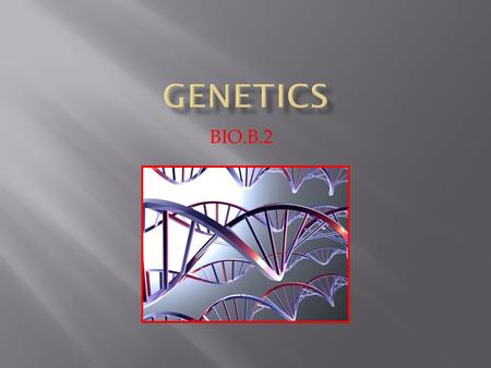BIO.B.2.  Only one strand of DNA is transcribed.  Complementary RNA nucleotides are added to the DNA strand. DNA RNA  A – U  G – C  T – A  C –