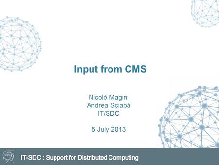 Input from CMS Nicolò Magini Andrea Sciabà IT/SDC 5 July 2013.