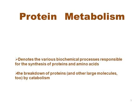 Protein Metabolism 1  Denotes the various biochemical processes responsible for the synthesis of proteins and amino acids tthe breakdown of proteins.