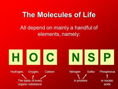 The Molecules of Life All depend on mainly a handful of elements, namely: HOCNSP Hydrogen, Oxygen, Carbon Nitrogen Sulfur Phosphorus in proteinsin nucleic.