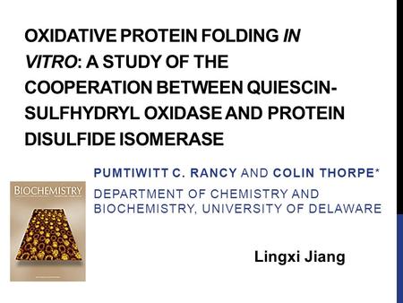 OXIDATIVE PROTEIN FOLDING IN VITRO: A STUDY OF THE COOPERATION BETWEEN QUIESCIN- SULFHYDRYL OXIDASE AND PROTEIN DISULFIDE ISOMERASE PUMTIWITT C. RANCY.