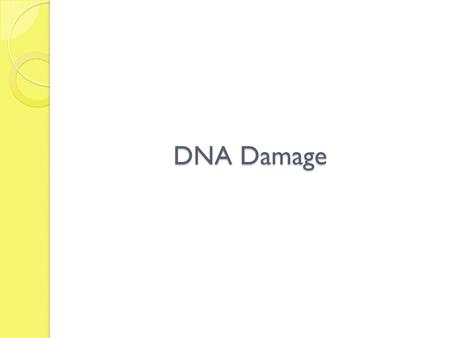 DNA Damage. DNA damage DNA damage, due to environmental factors and normal metabolic processes inside the cell, occurs at a rate of 1,000 to 1,000,000.